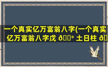 一个真实亿万富翁八字(一个真实亿万富翁八字戊 💮 土日柱 🐘 )
